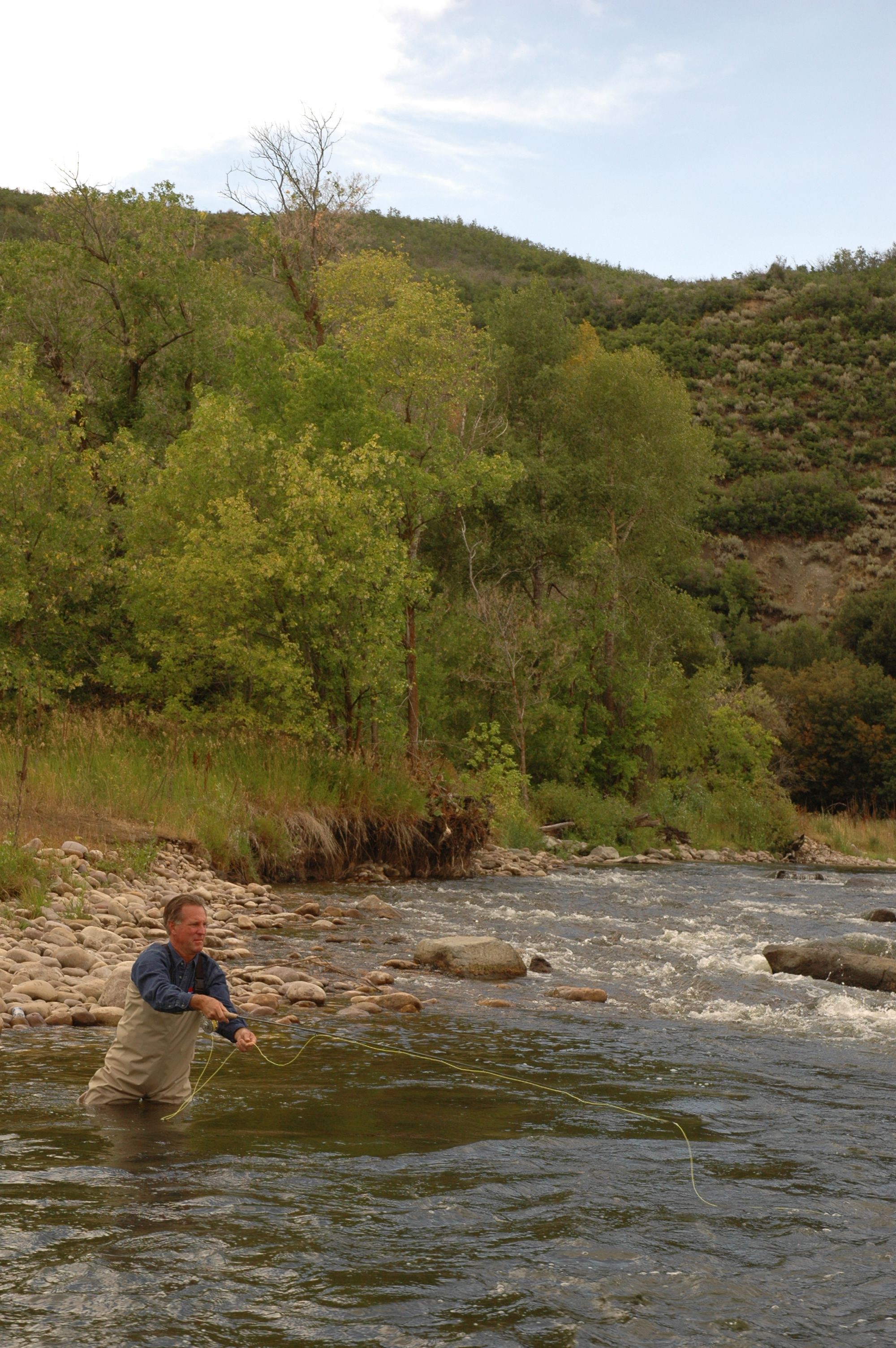 A man fishing in a river surrounded by greenery.