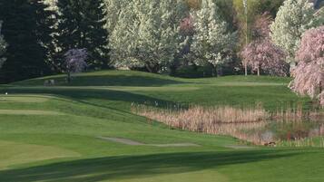 Enjoy a serene round of golf amidst lush greenery and a tranquil water feature.