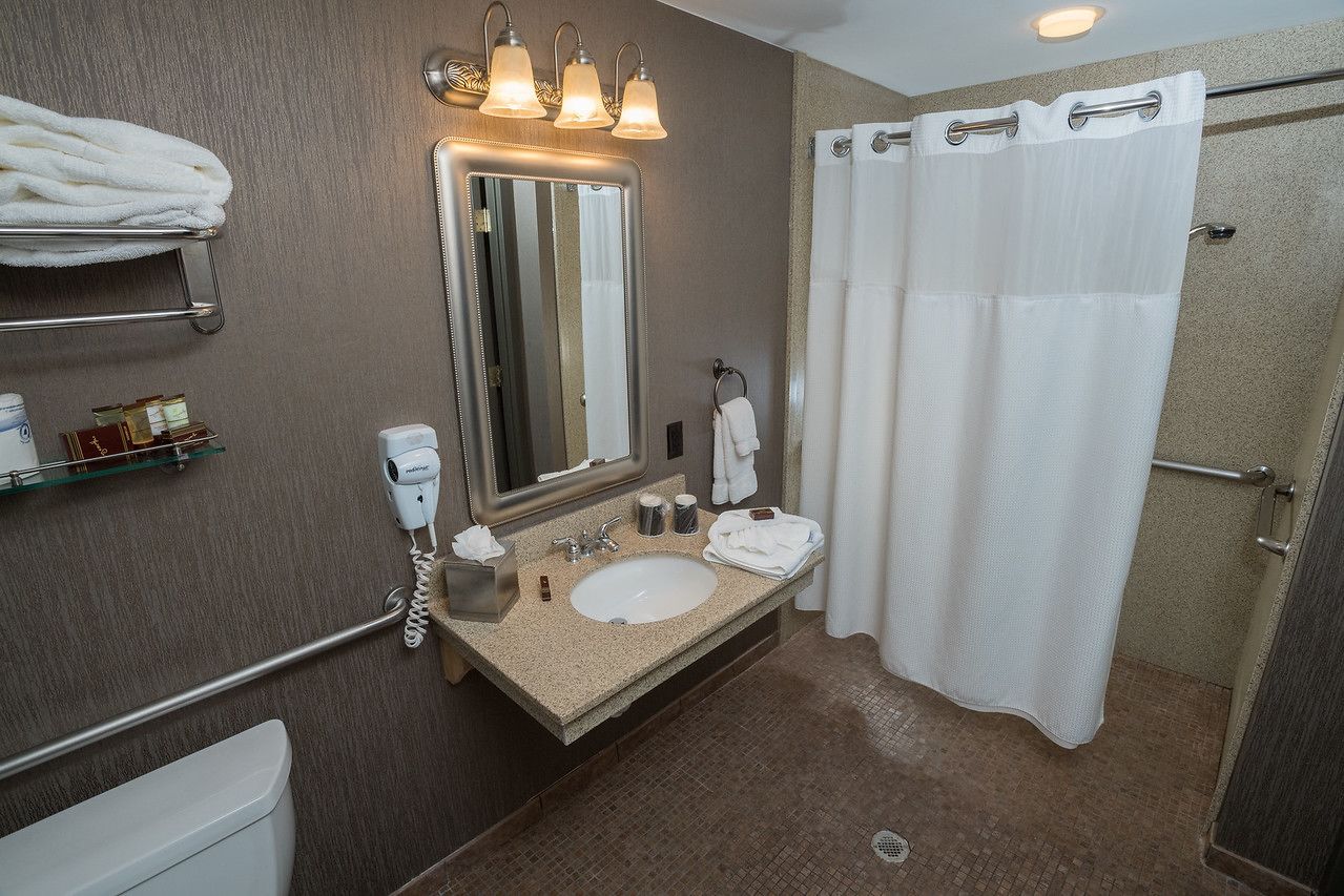 combined shower/bathtub, free toiletries, hair dryer, towels