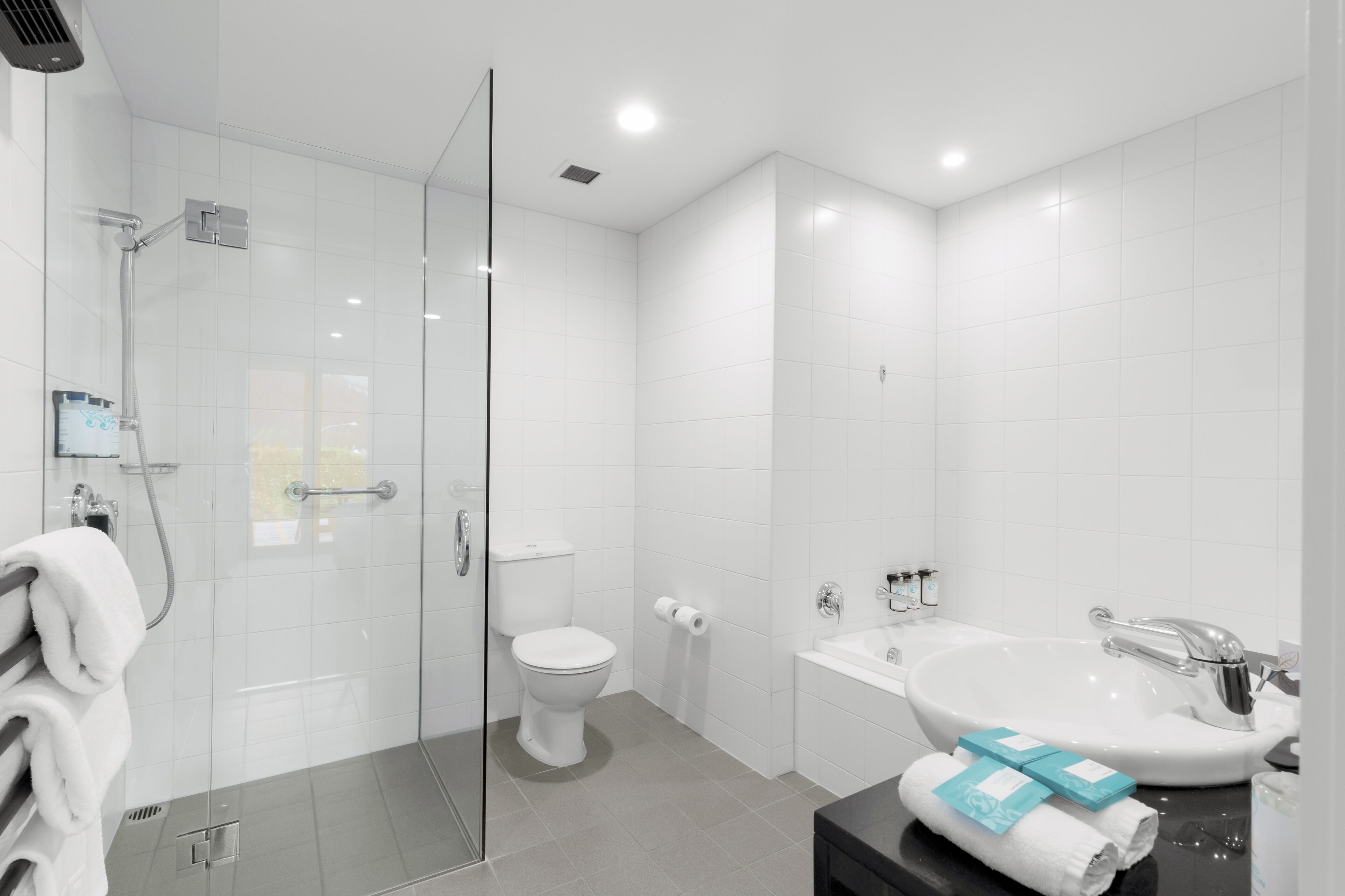 separate bathtub and shower, free toiletries, hair dryer, bathrobes