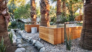 Zona exterior tranquil·la amb palmeres, una petita font i jardineres de fusta.