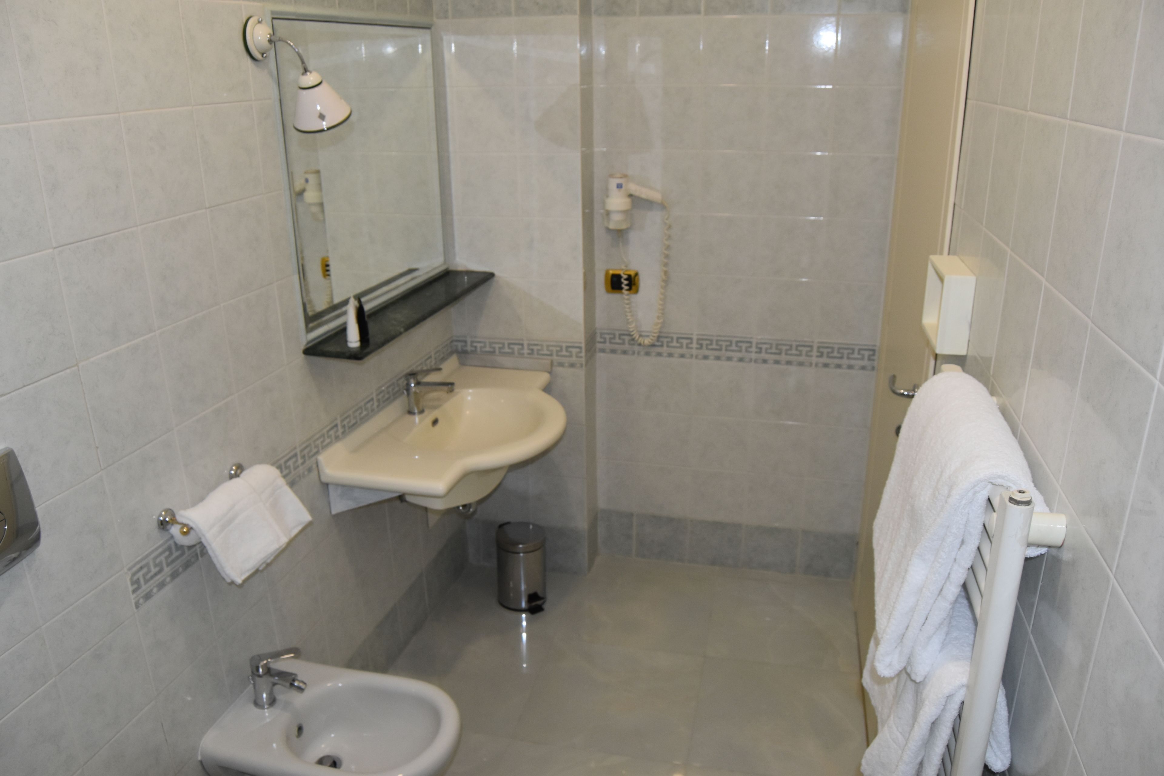 shower, free toiletries, hair dryer, bidet
