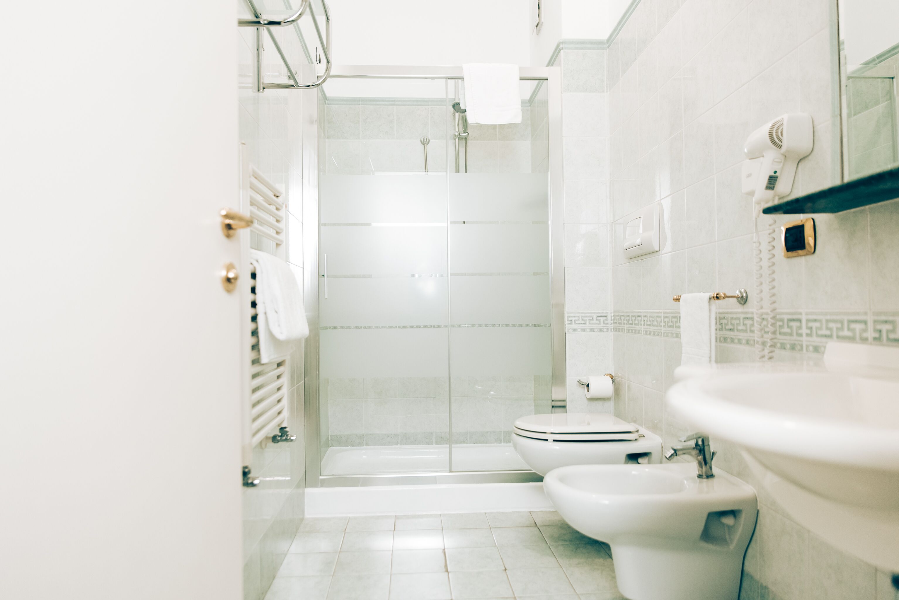 shower, free toiletries, hair dryer, bidet