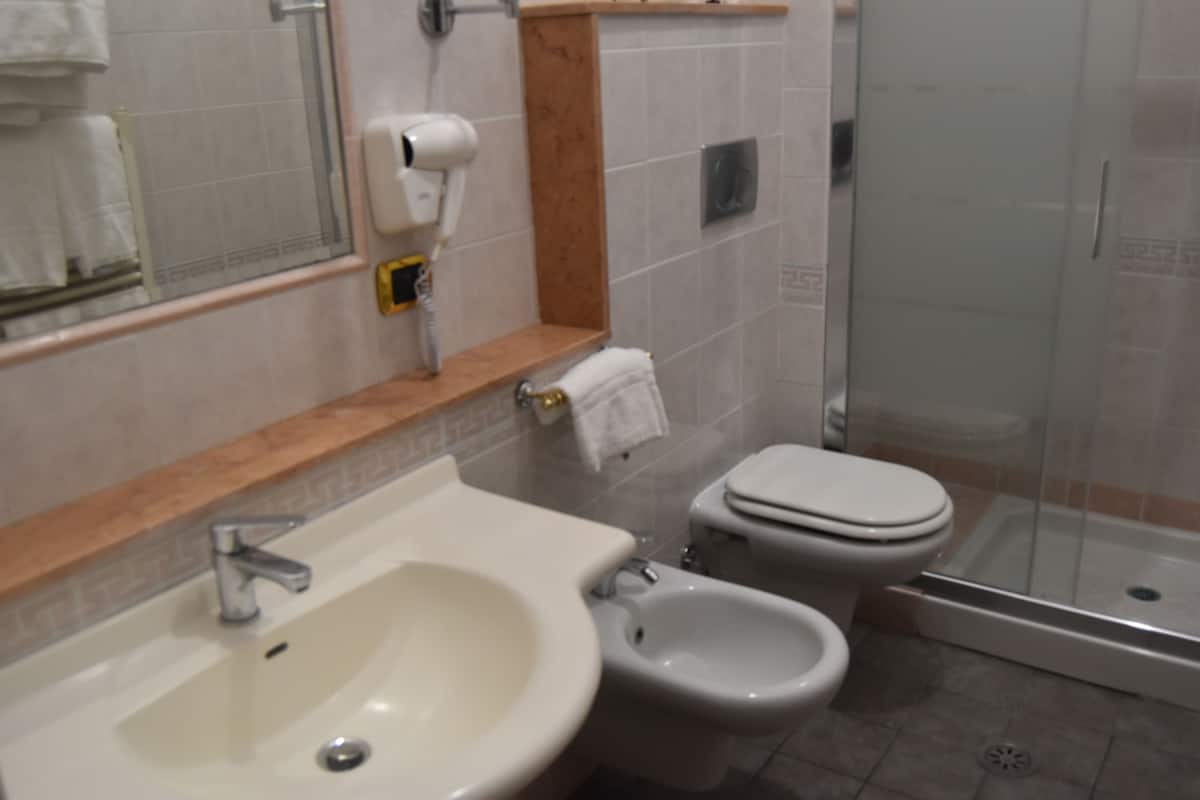 shower, free toiletries, hair dryer, bidet