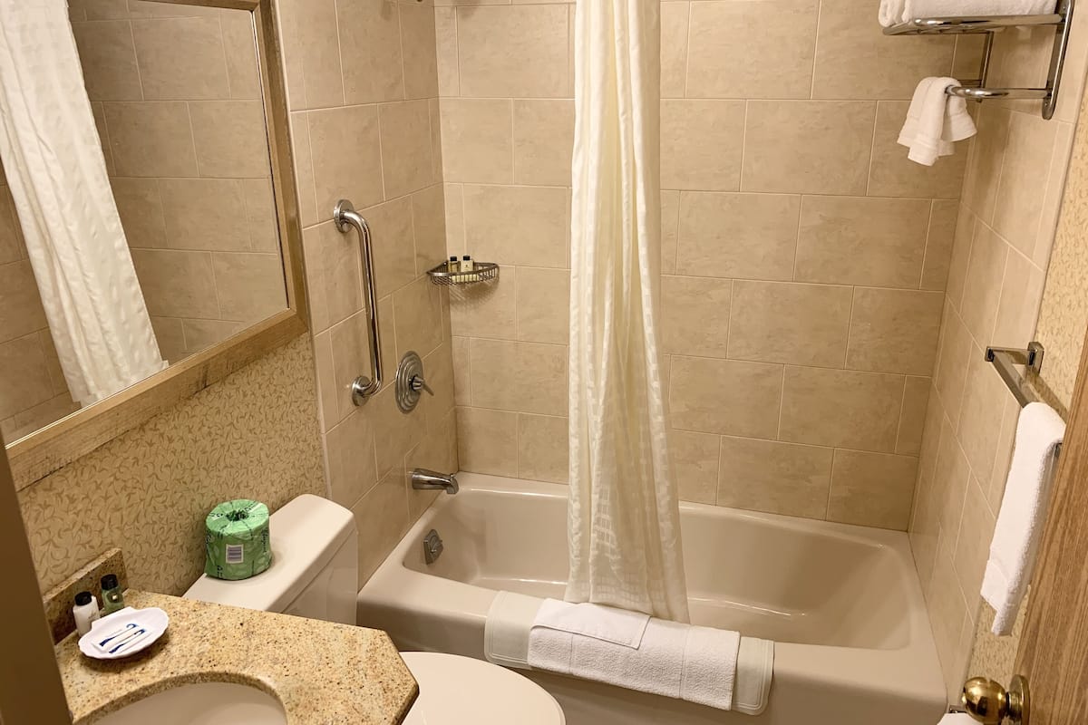 combined shower/bathtub, hair dryer, towels