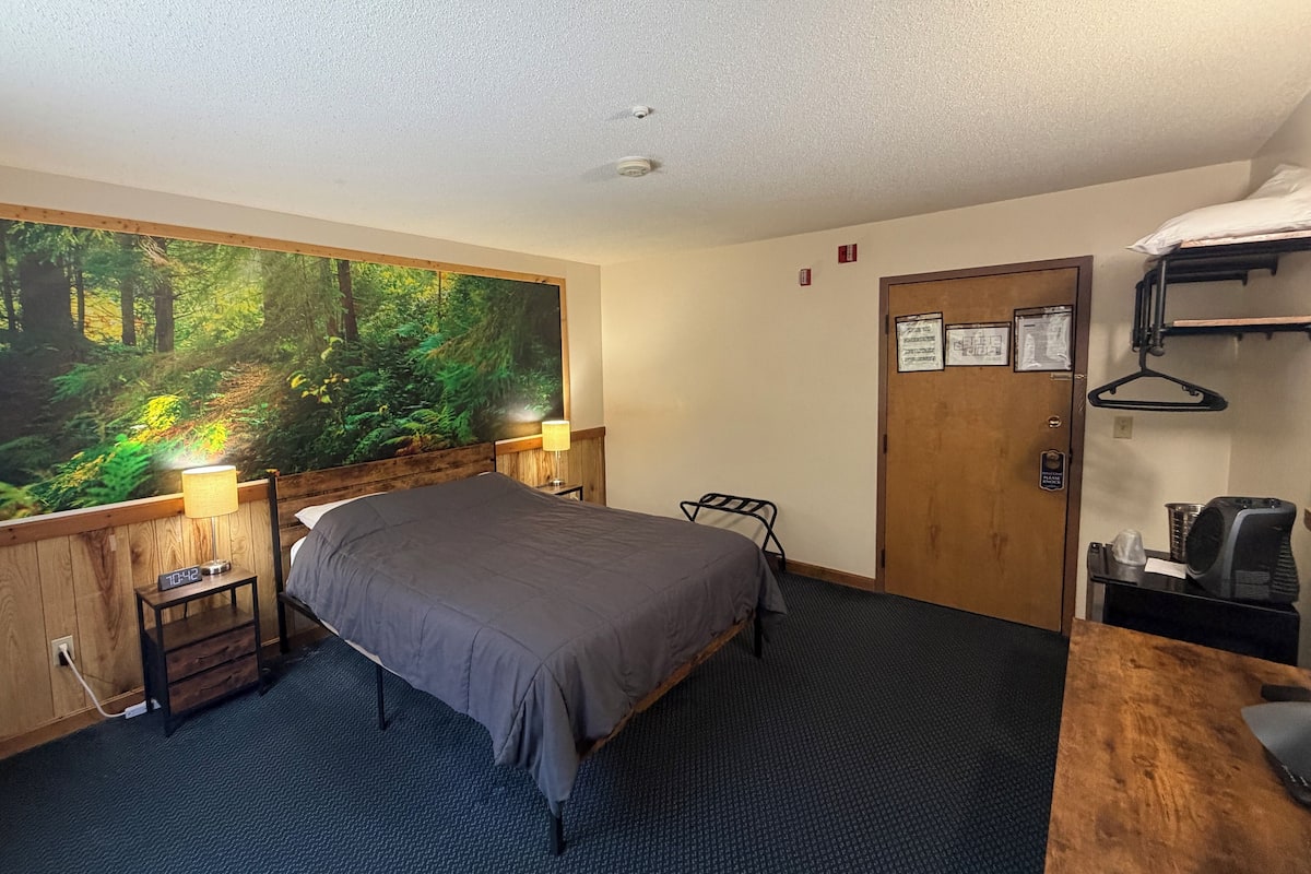 Premium Room, 1 Queen Bed | Individually decorated, individually furnished, free cribs/infant beds