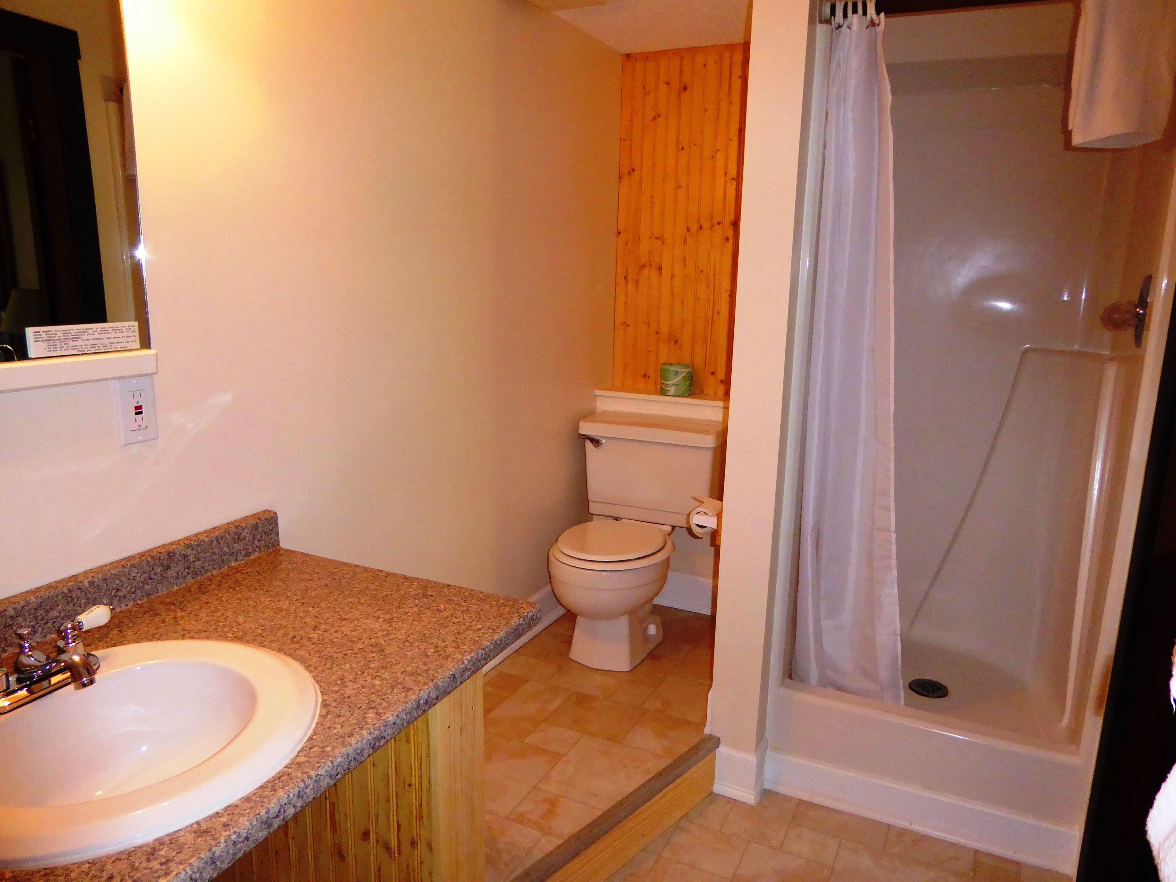 economy room, 1 queen bed | bathroom | shower, free toiletries, towels, soap