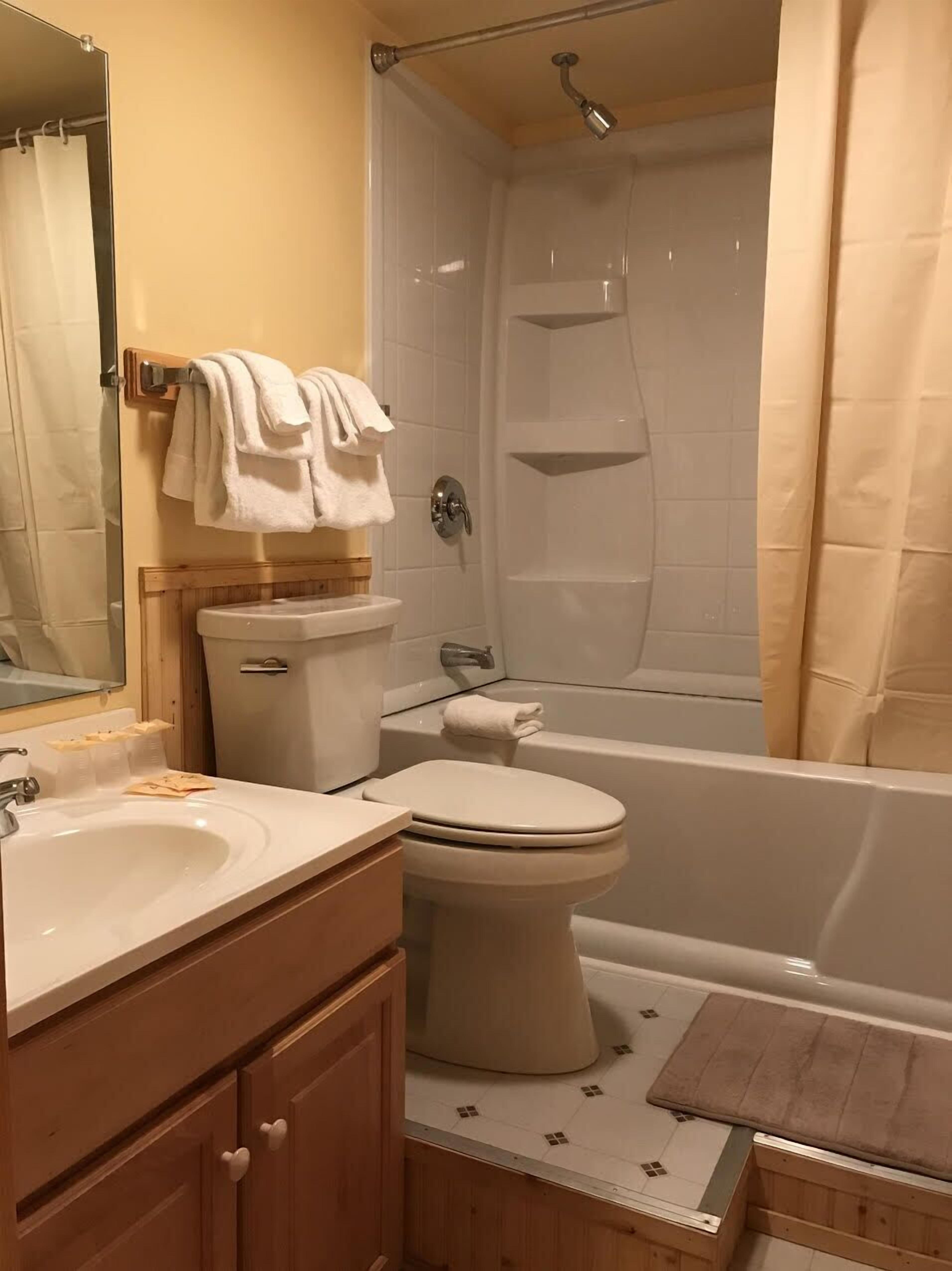 premium suite, multiple beds | bathroom | shower, free toiletries, towels, soap