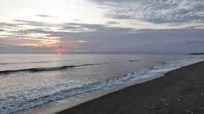 บนชายหาด, ร่มชายหาด, บาร์ริมหาด