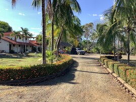 Un camino de grava que lleva a un edificio blanco con techo rojo, rodeado de palmeras y macizos de flores.