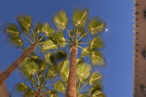 تفاصيل الفندق من الخارج