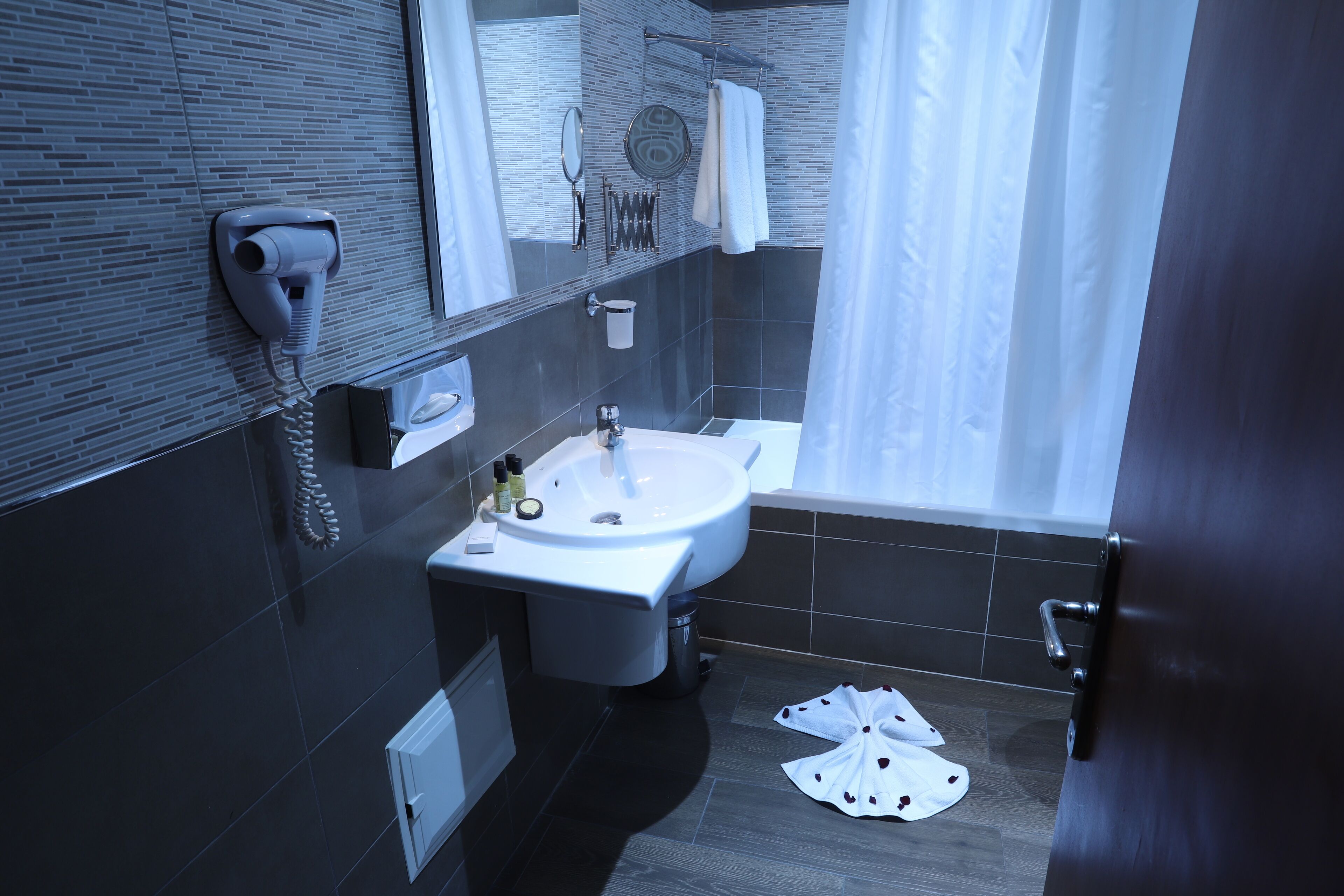 standard room | bathroom | shower, free toiletries, hair dryer, bidet