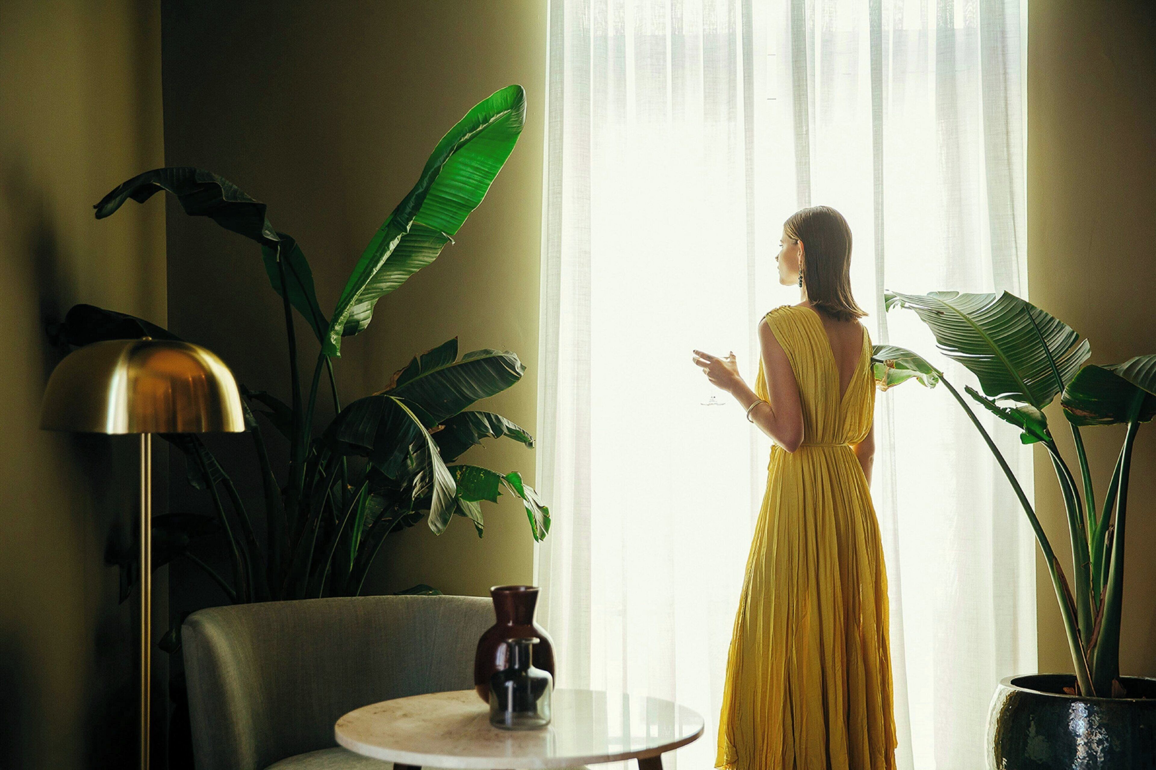 A room with a large window, a sofa, a table, and a potted plant.
