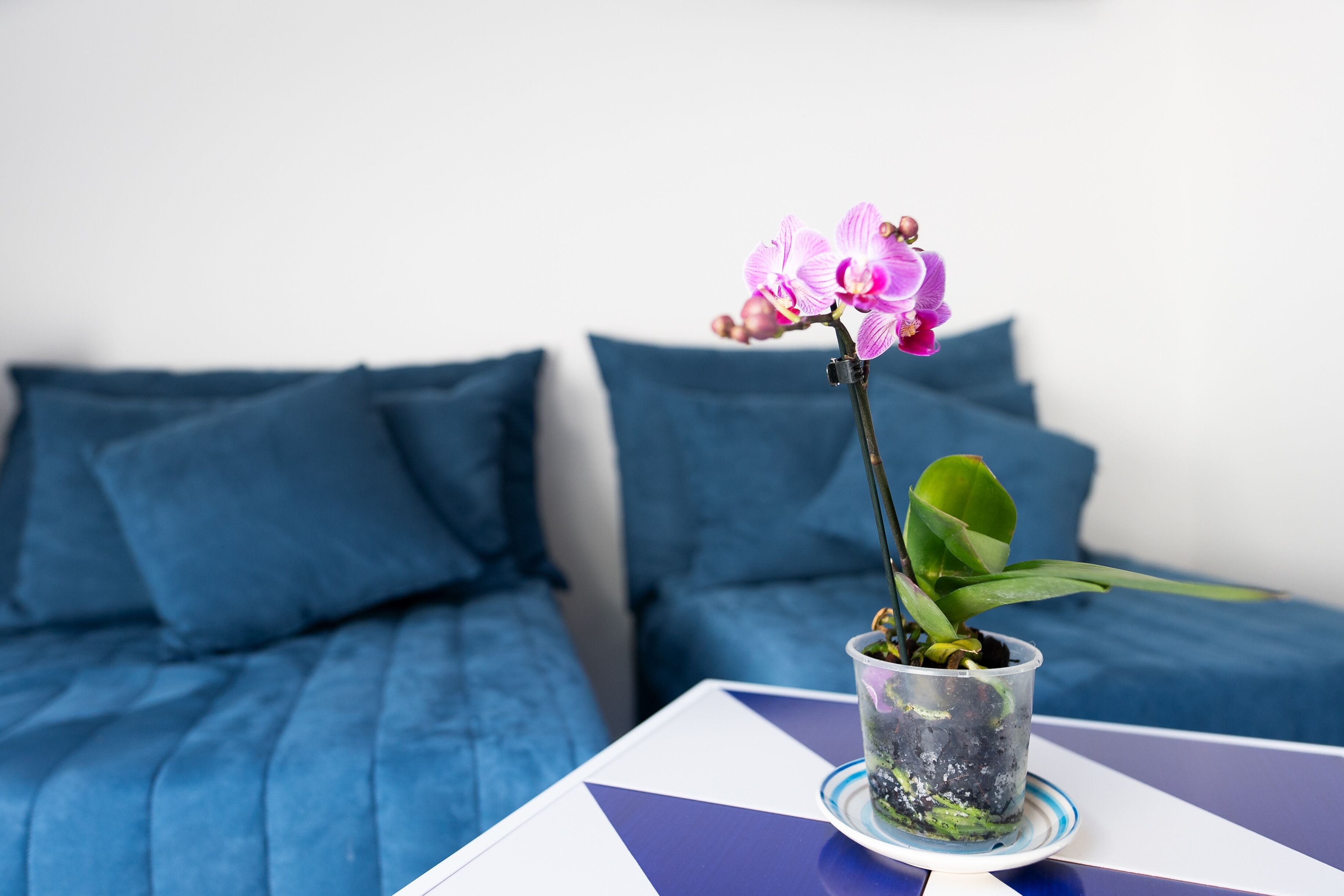 double room with attic, sea view and external terrace | 1 bedroom, frette italian sheets, premium bedding, down duvets