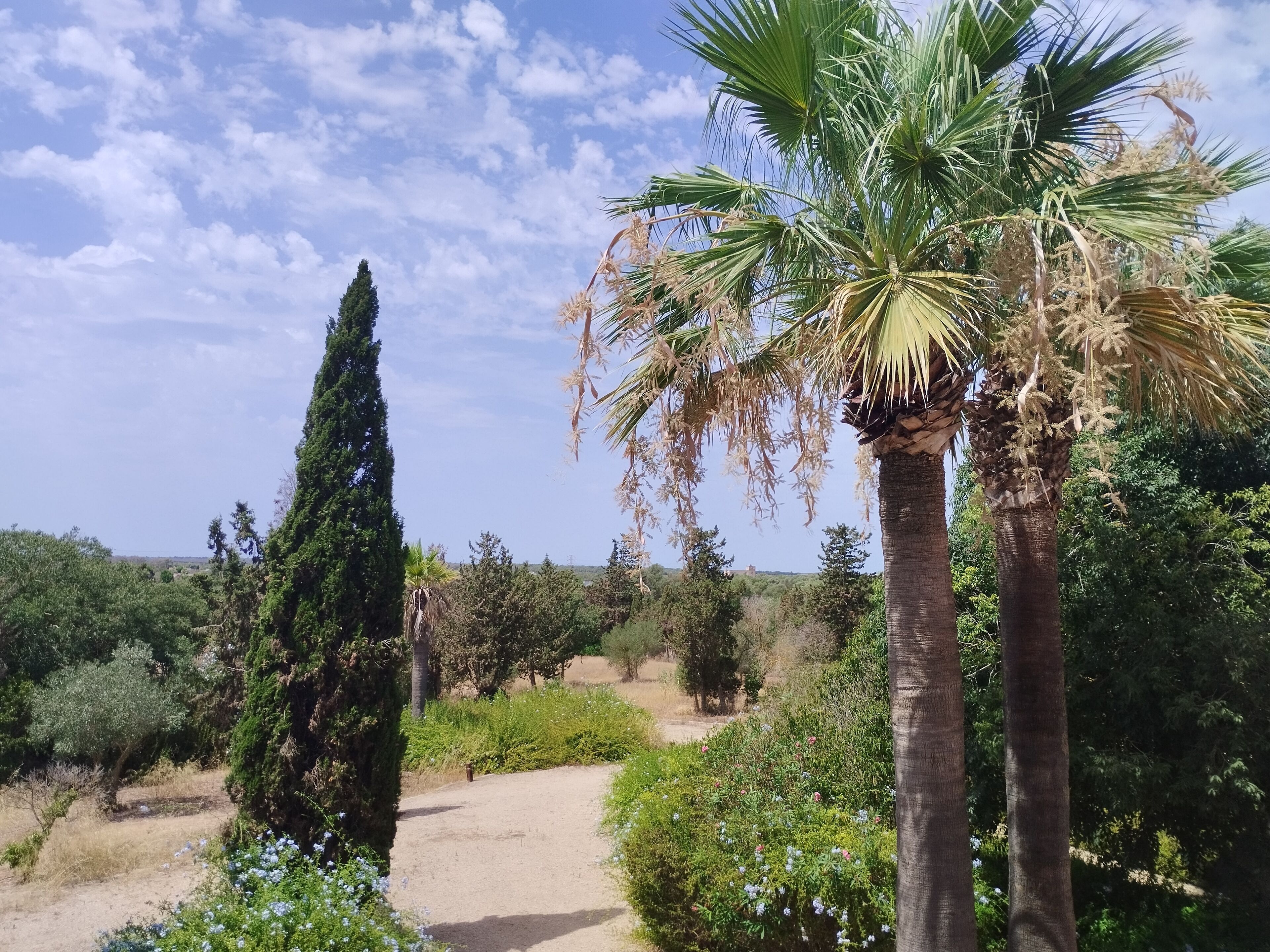 comfort suite | view from room