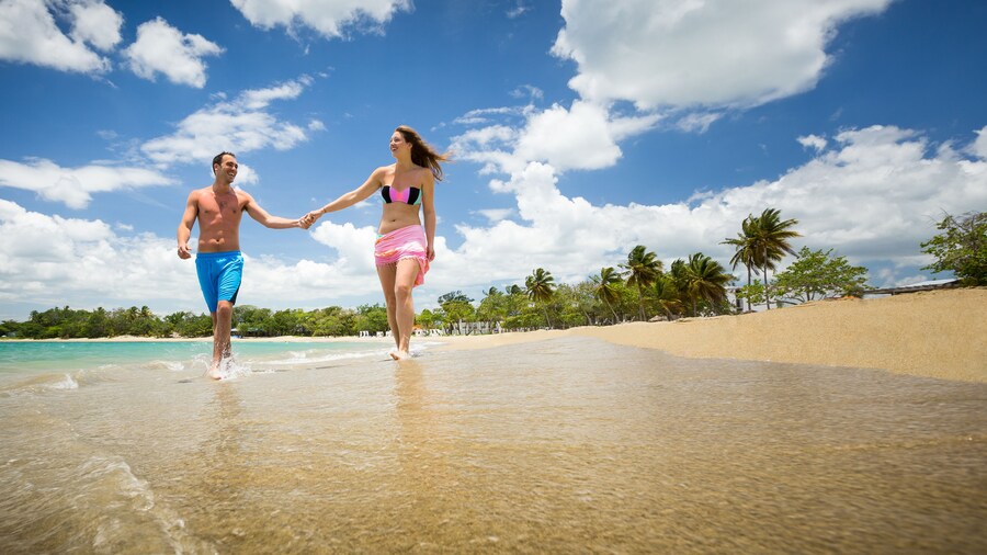 BlueBay Villas Doradas - Adults Only - All Inclusive