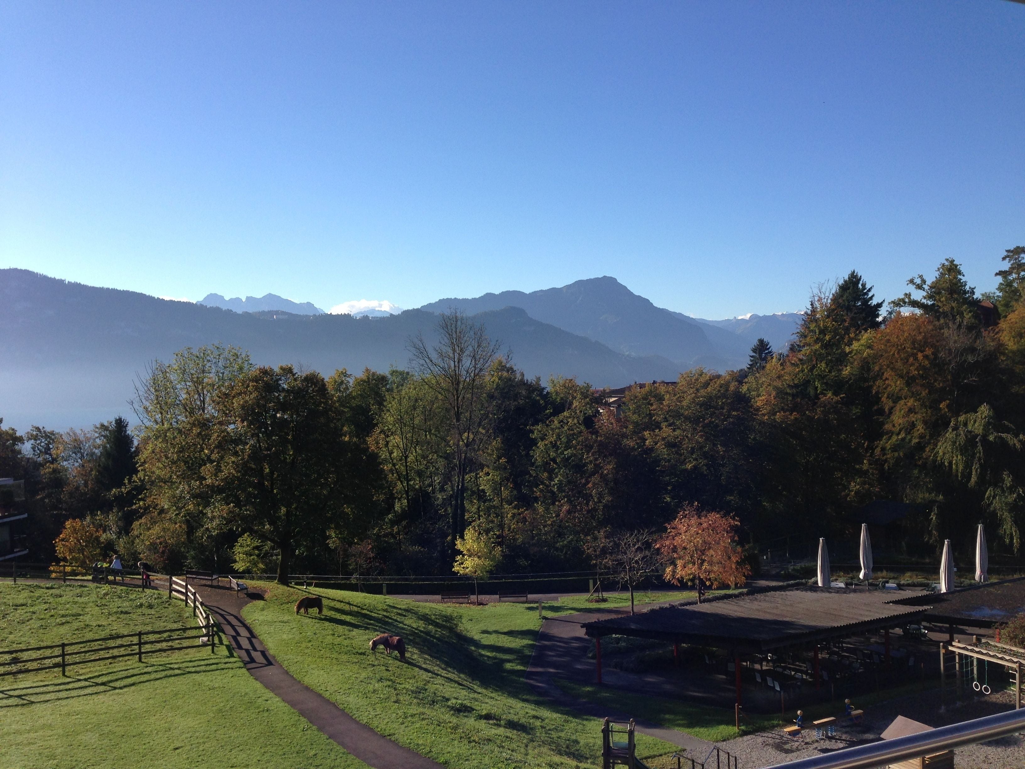 Photo - Boutique Hotel Balm