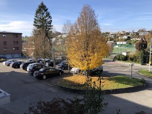 Free self-parking