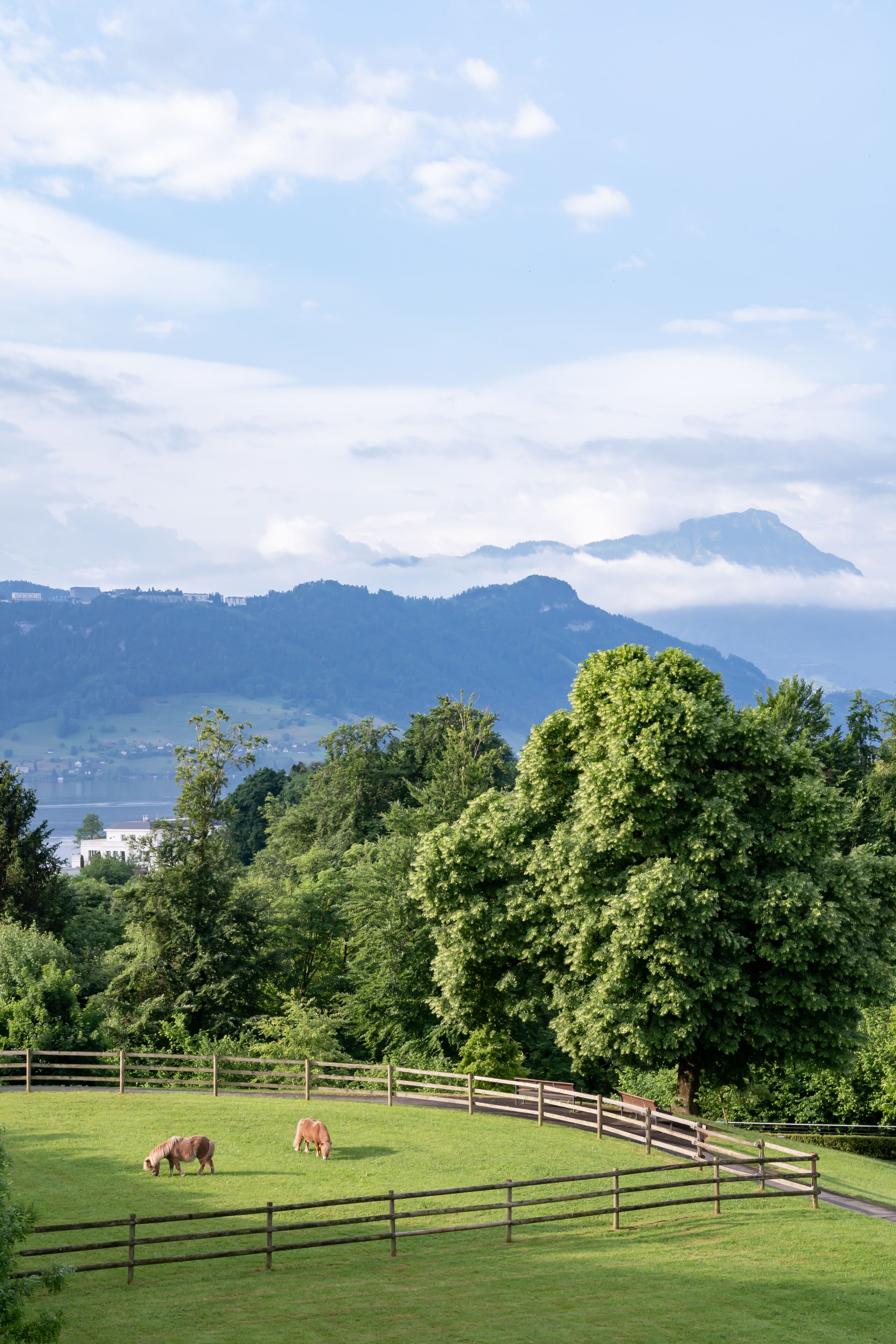 hypo-allergenic bedding, down duvets, in-room safe, laptop workspace