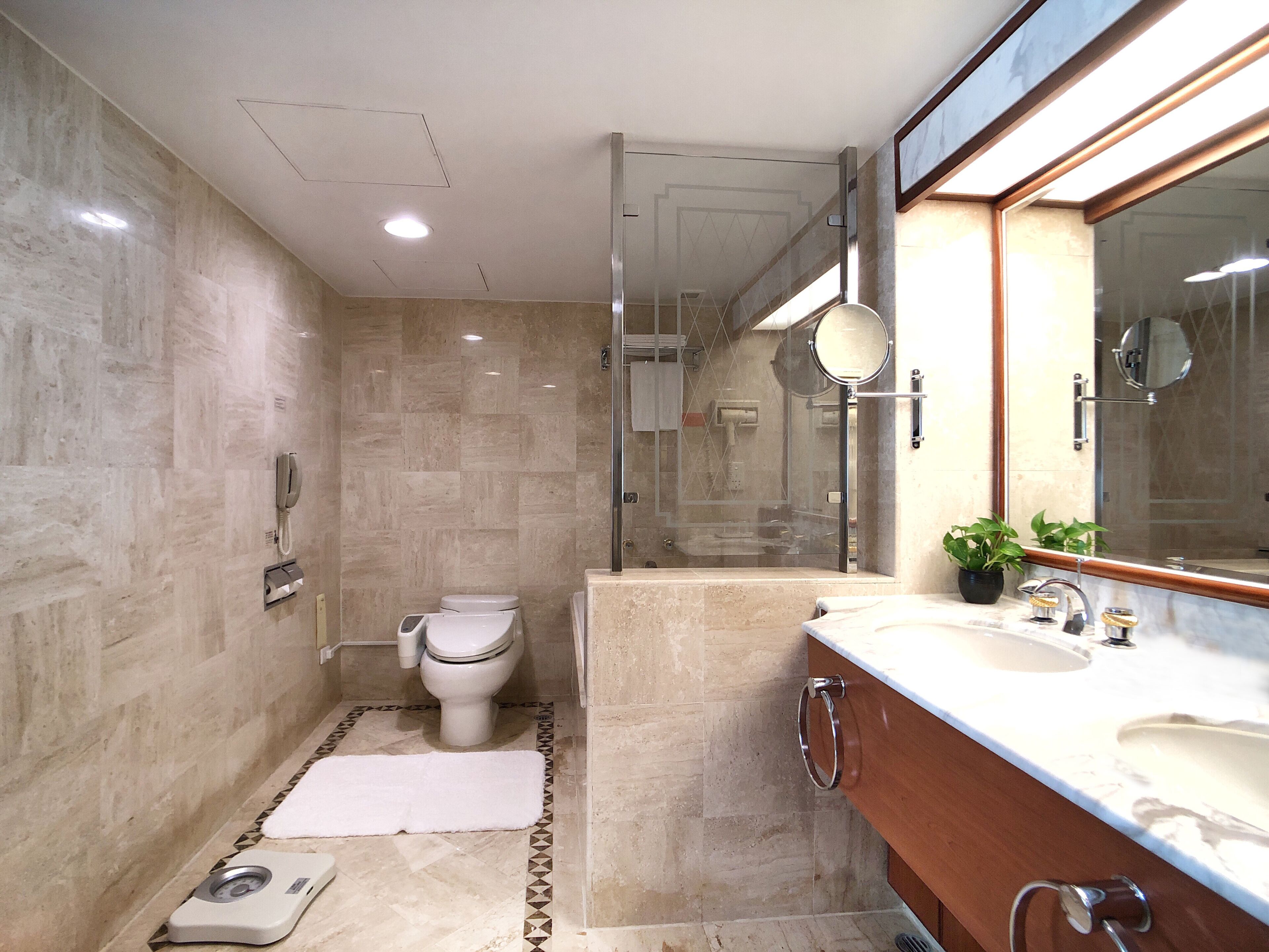 deluxe suite | bathroom | combined shower/bathtub, hair dryer, electronic bidet, towels