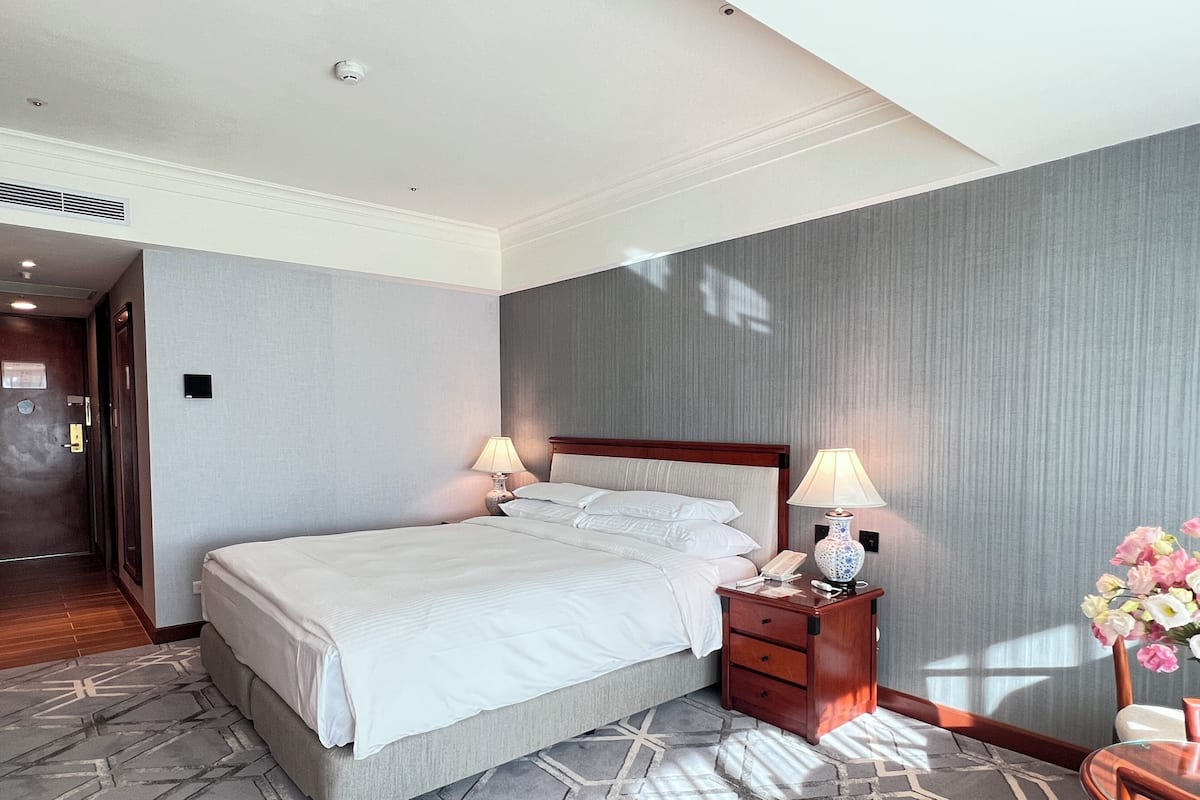 Literie hypoallergénique, couette en duvet d'oie, minibar