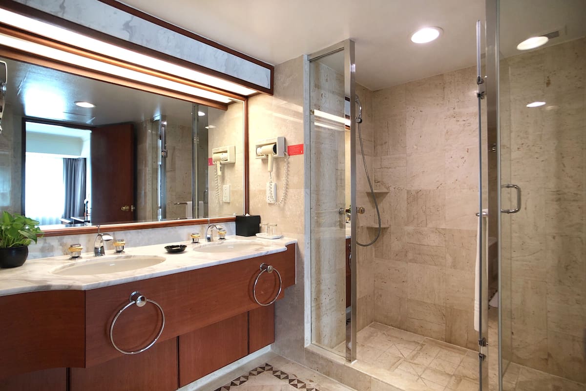 combined shower/bathtub, hair dryer, electronic bidet, towels
