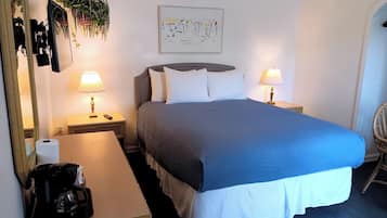 A neatly arranged hotel room with a large bed, two bedside lamps, a bedside table with a lamp, a hanging plant, a framed picture on the wall, and a chair.