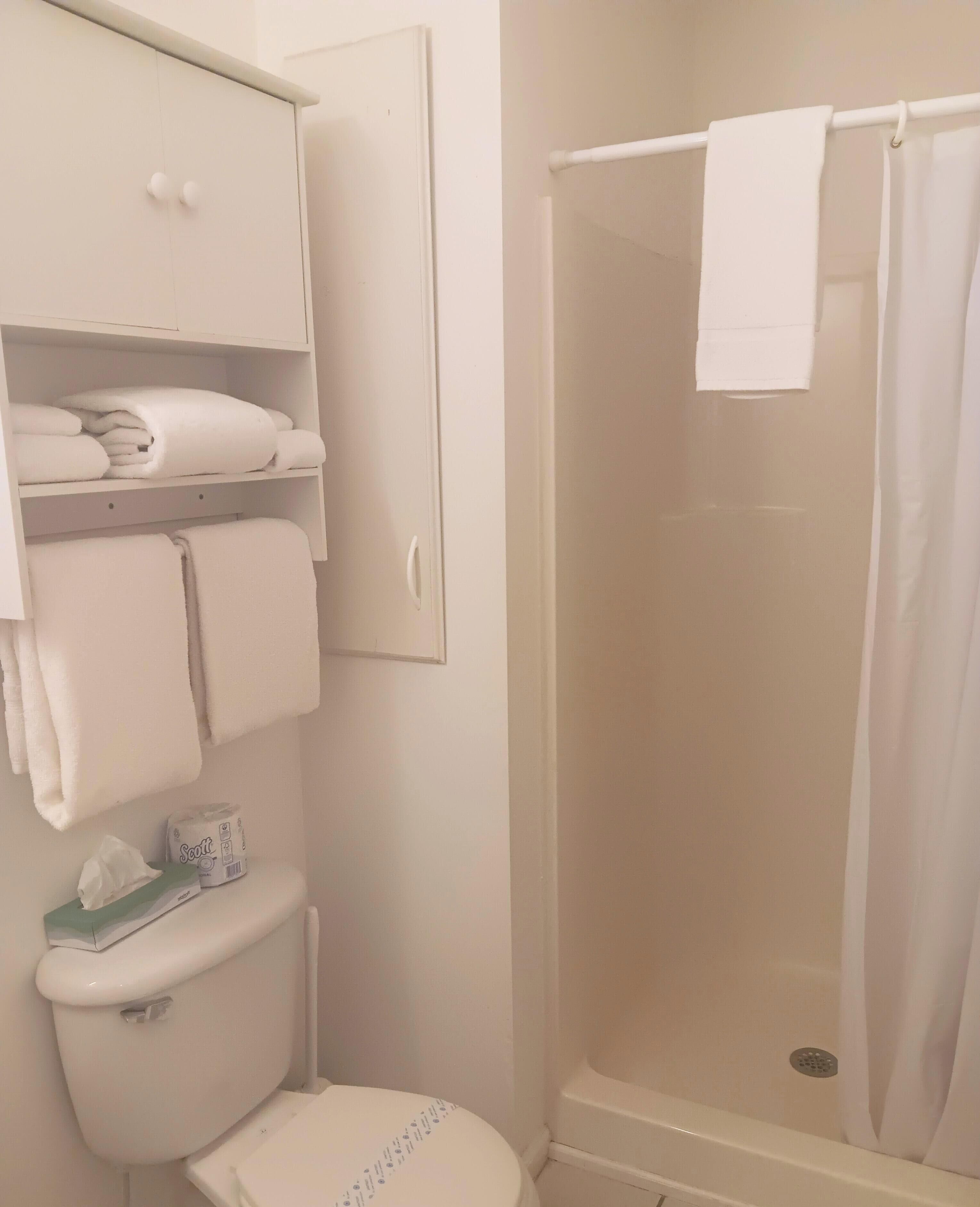 Ein Badezimmer mit Toilette, einer Duschkabine und einem Schrank mit Handtüchern.