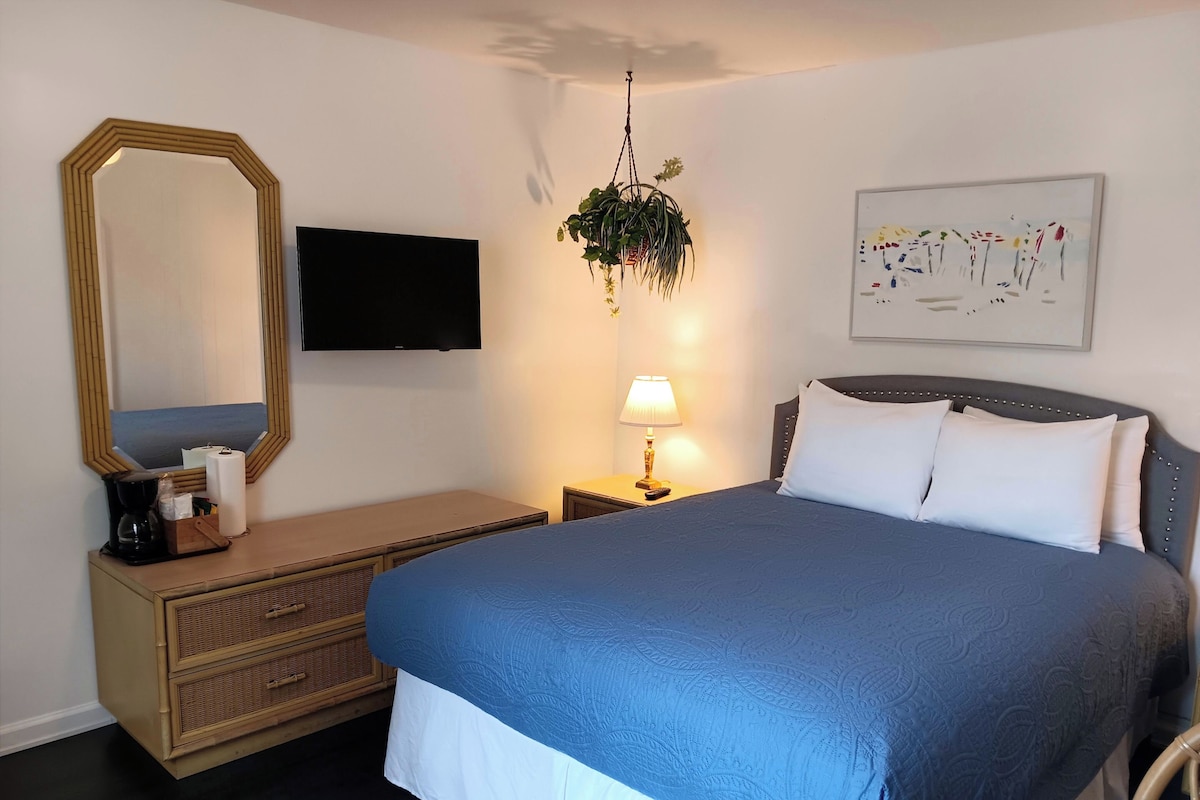 A hotel room with a large bed, a dresser, a television, a lamp, and a hanging plant.