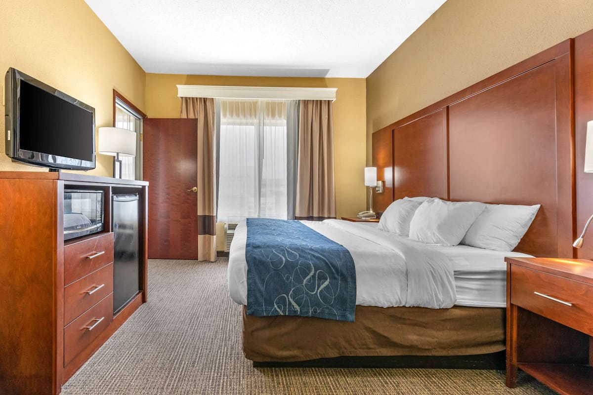 Suite, Multiple Beds, Non Smoking | Down comforters, desk, blackout drapes, iron/ironing board