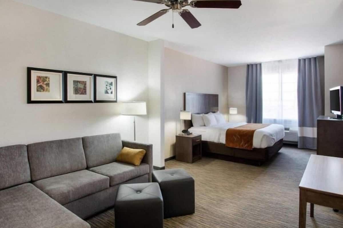 Ett hotellrum med en soffa, en pall, en säng, sängbord, en lampa, en takfläkt, konst på väggen och en tv.