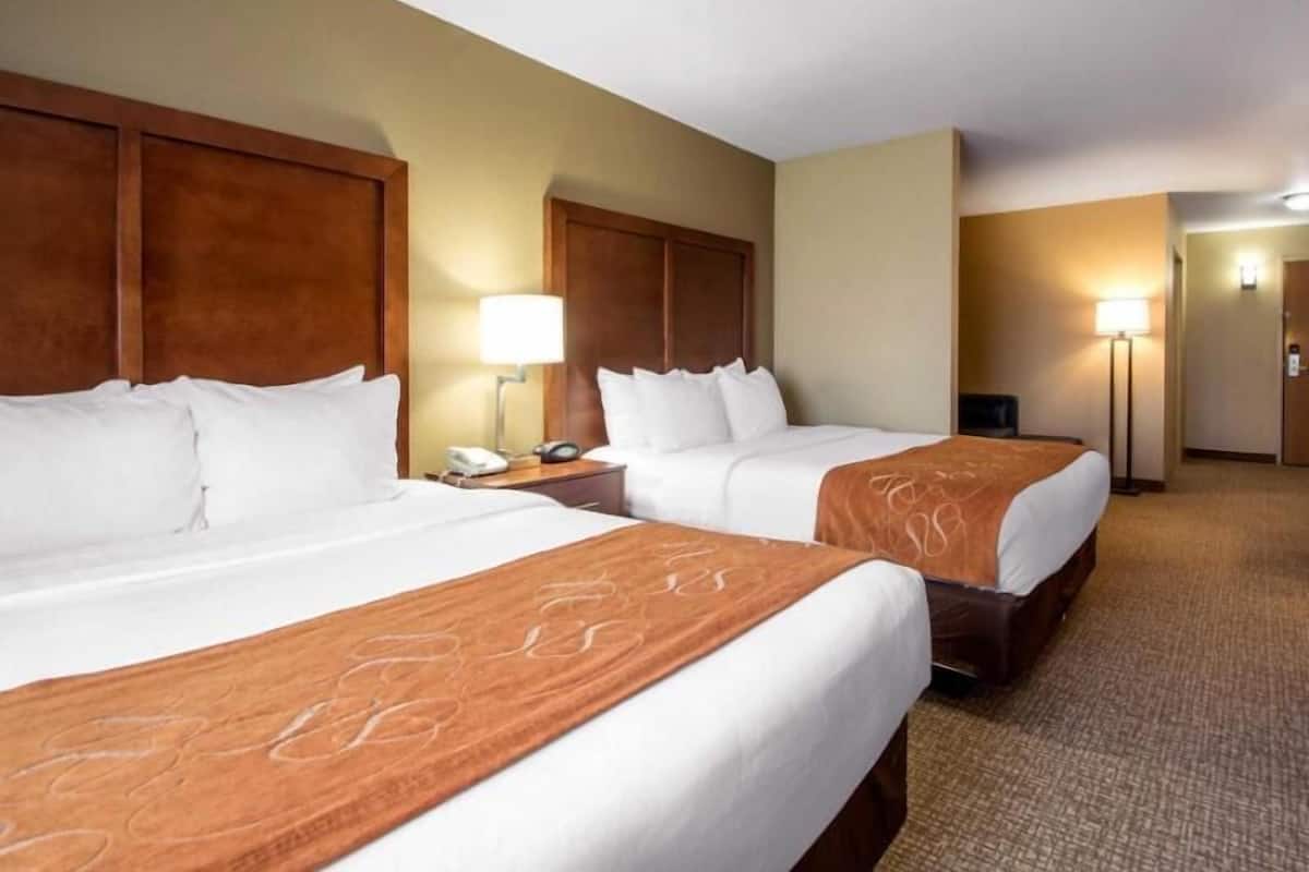 A hotel room with two beds, a nightstand with a lamp, and a carpeted floor.