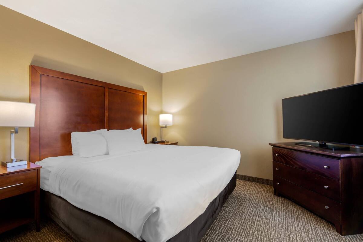 Suite, 1 King Bed with Sofa bed, Non Smoking | Desk, blackout drapes, iron/ironing board, WiFi (free)