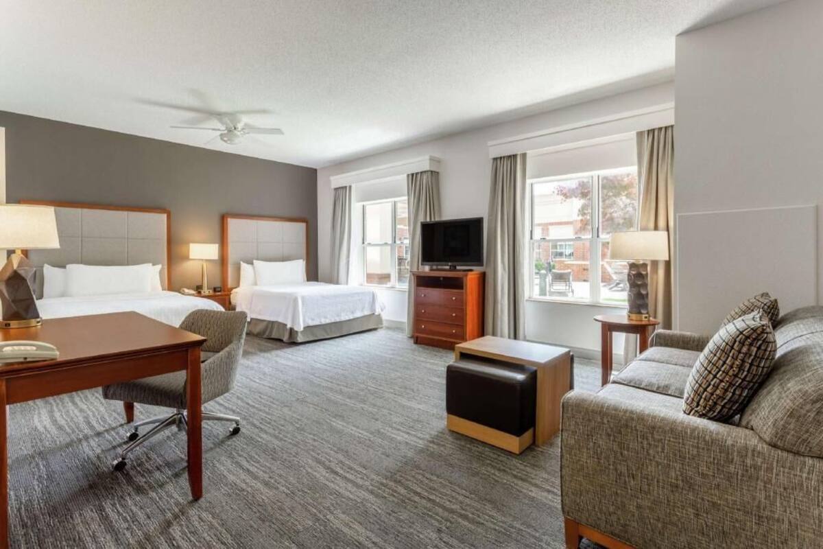 A hotel room with a bed, a desk, a sofa, a TV, and a ceiling fan.