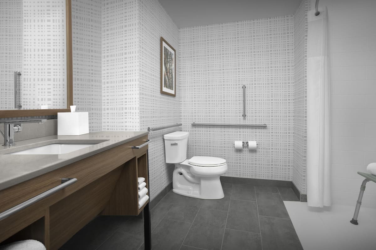 room, 1 king bed, accessible (mobility & hearing, roll-in shower) | bathroom | free toiletries, hair dryer, towels, soap