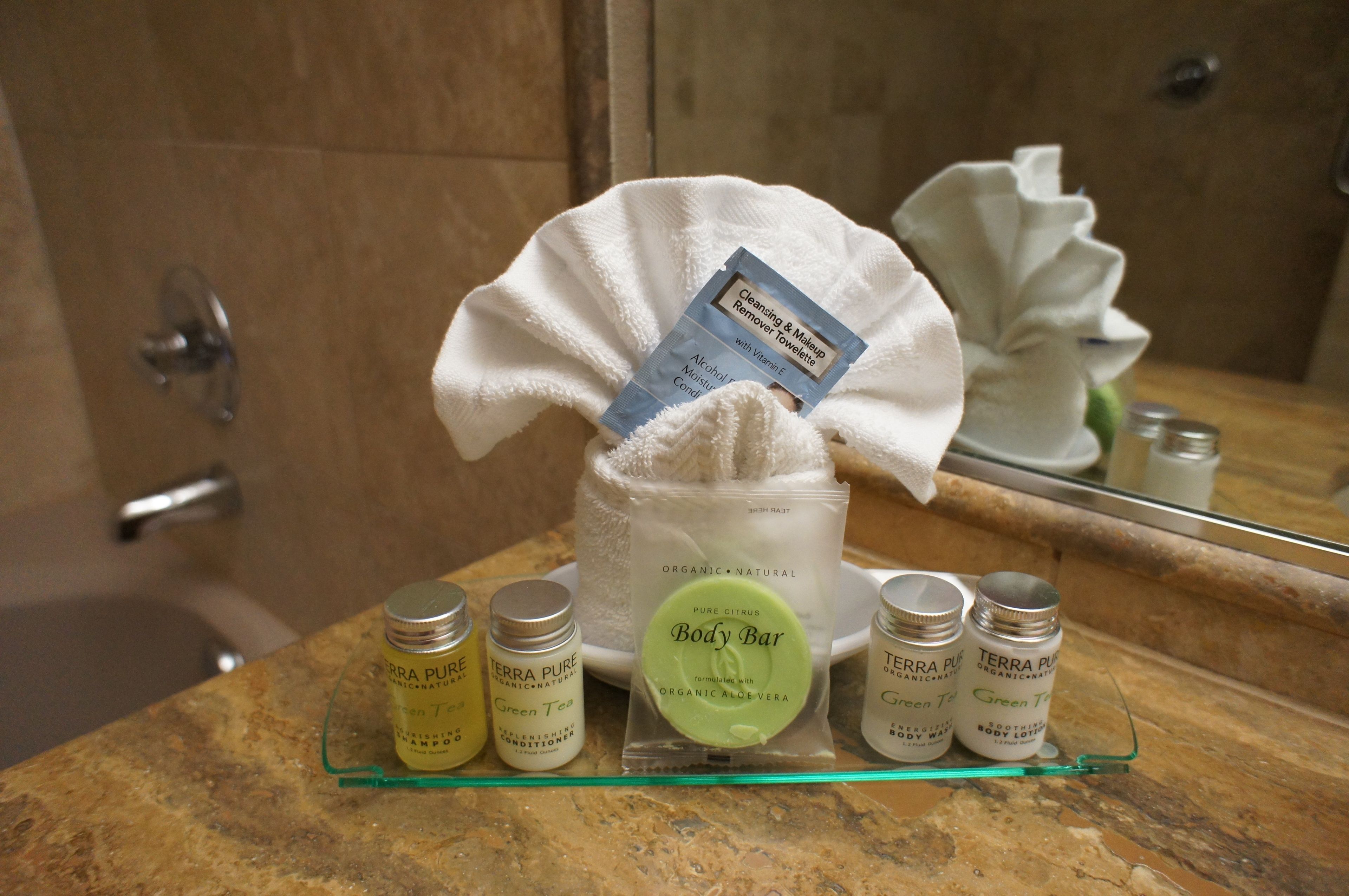 combined shower/bathtub, free toiletries, hair dryer, towels