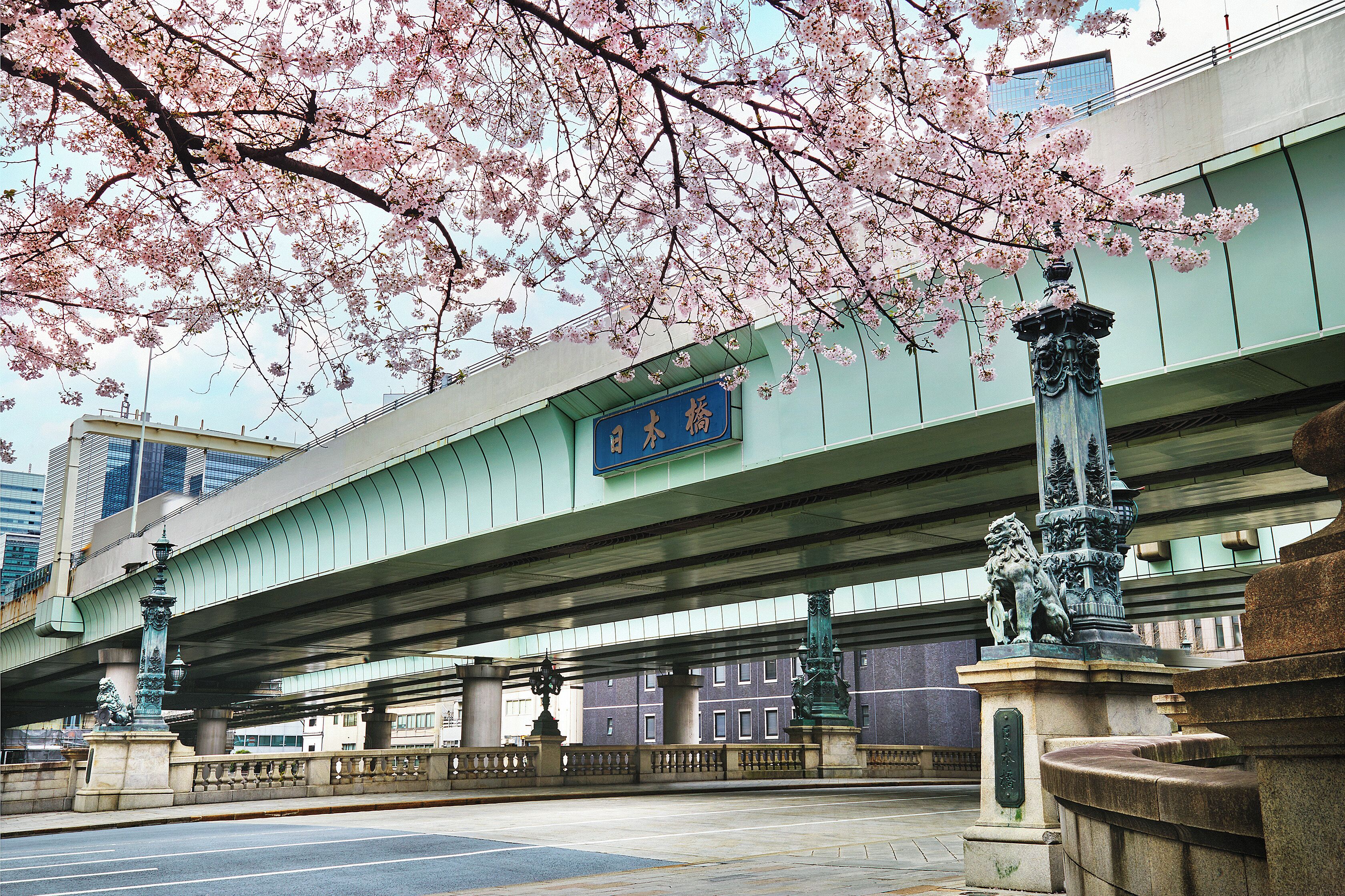 Un pont orné d’une statue et de fleurs de cerisier.