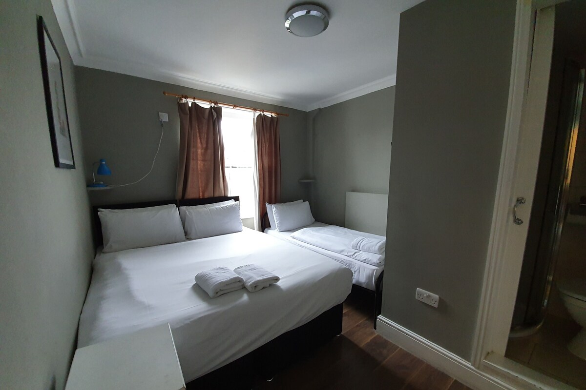 Standard Triple Room | Iron/ironing board, free WiFi, bed sheets