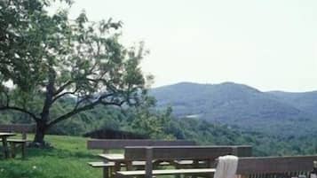 Grill- och picknickområde