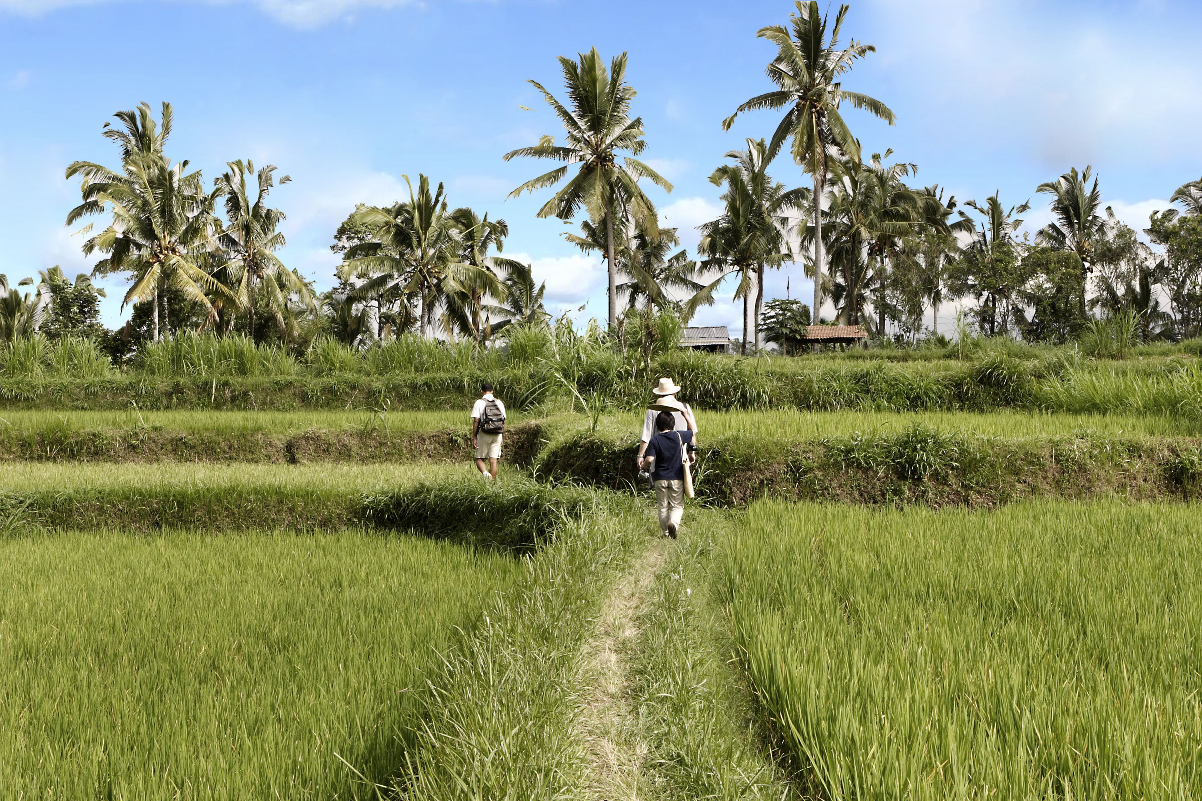 Foto - Hanging Gardens of Bali