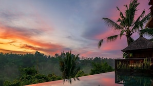 A infinity pool with a view of a sunset and palm trees.