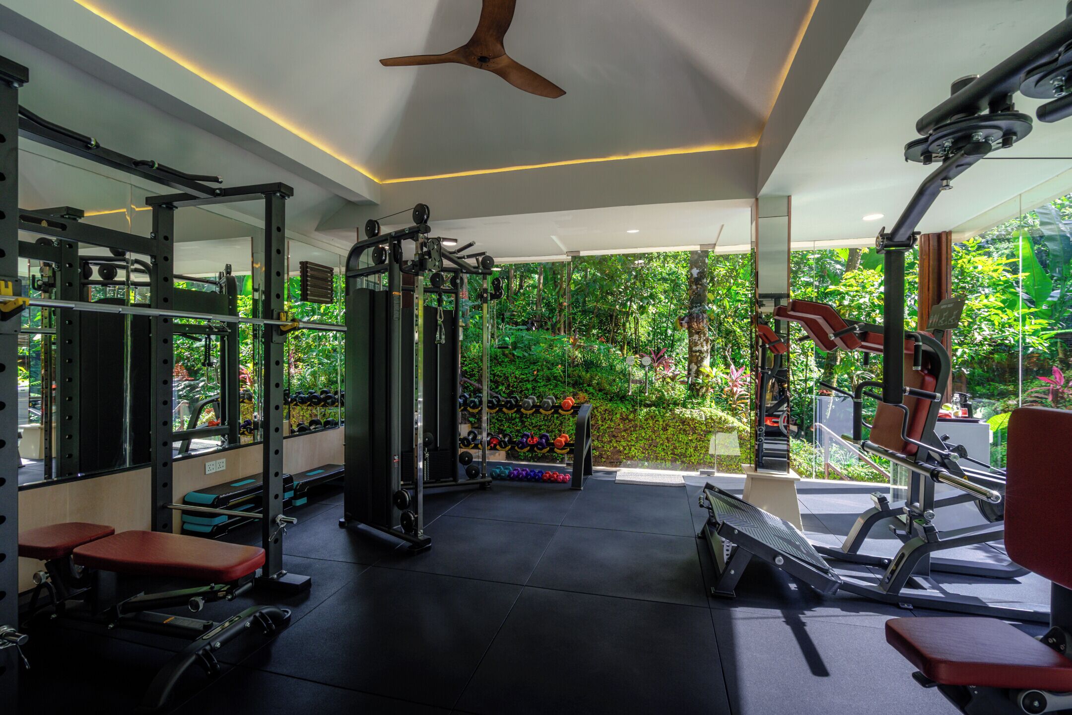 Gimnasio