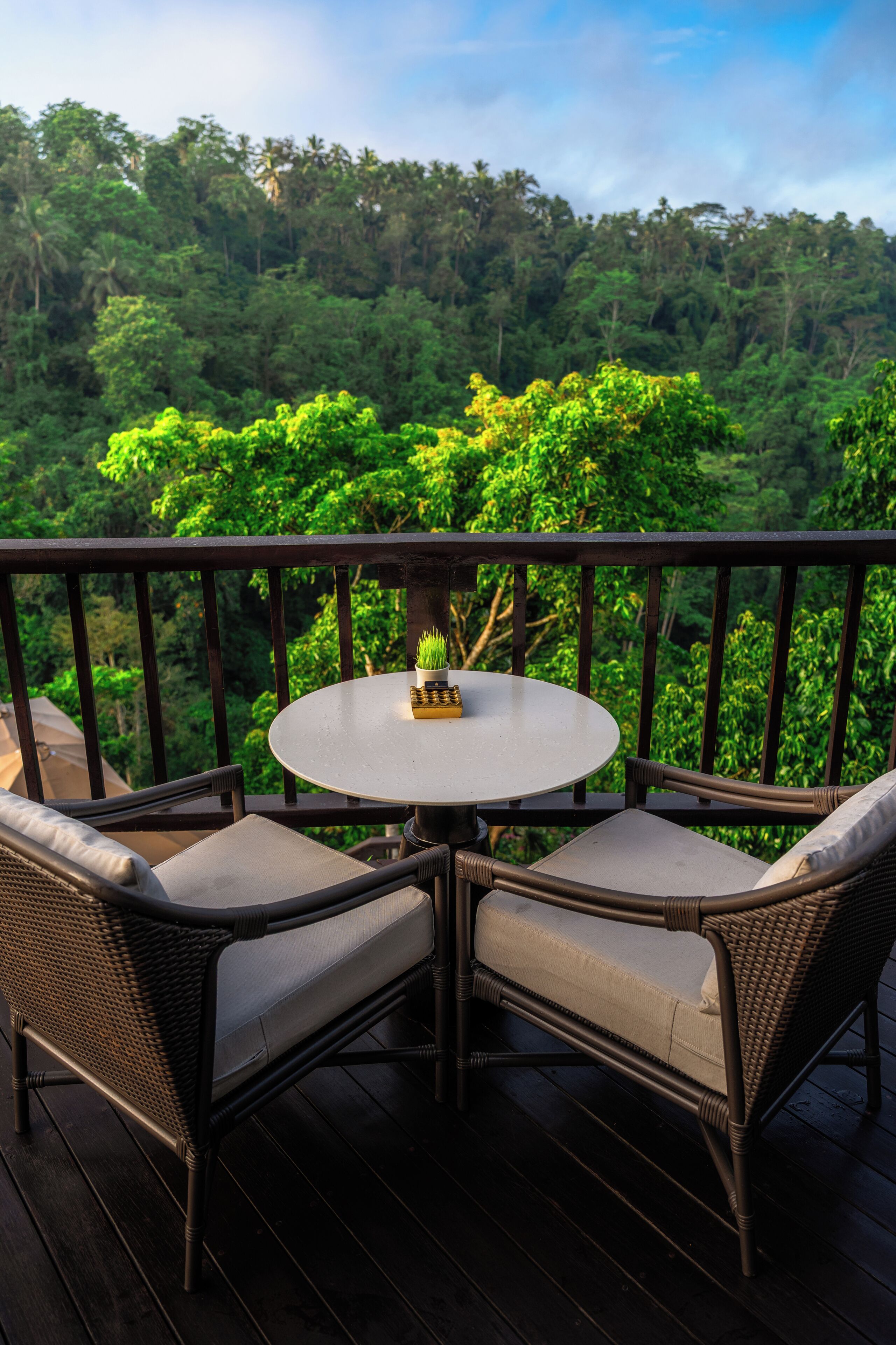 A round table with two chairs on a deck, surrounded by a railing, with a view of dense green foliage in the background.