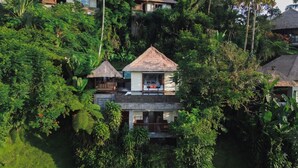 A bungalow with a thatched roof, surrounded by dense tropical foliage.