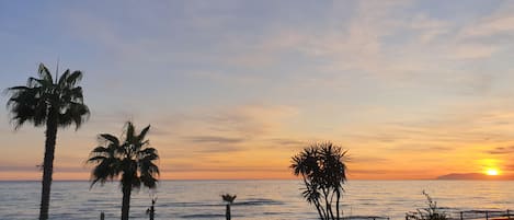 Vue sur la plage/l’océan