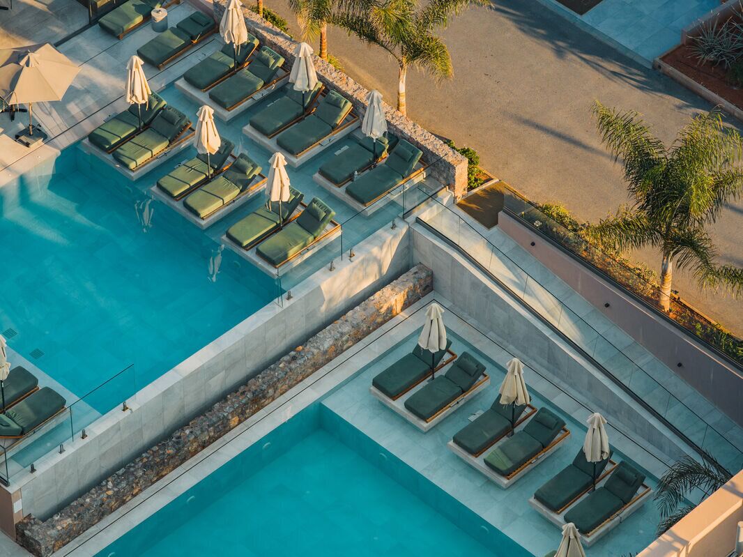 A rooftop pool with multiple sun loungers and umbrellas, surrounded by palm trees and a clear sky.