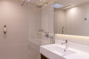 Cabezal de ducha tipo lluvia, secador de pelo, toallas