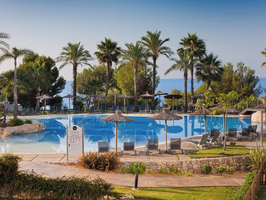 Un espace piscine agrémenté de chaises longues, de palmiers et offrant une vue dégagée sur la mer.
