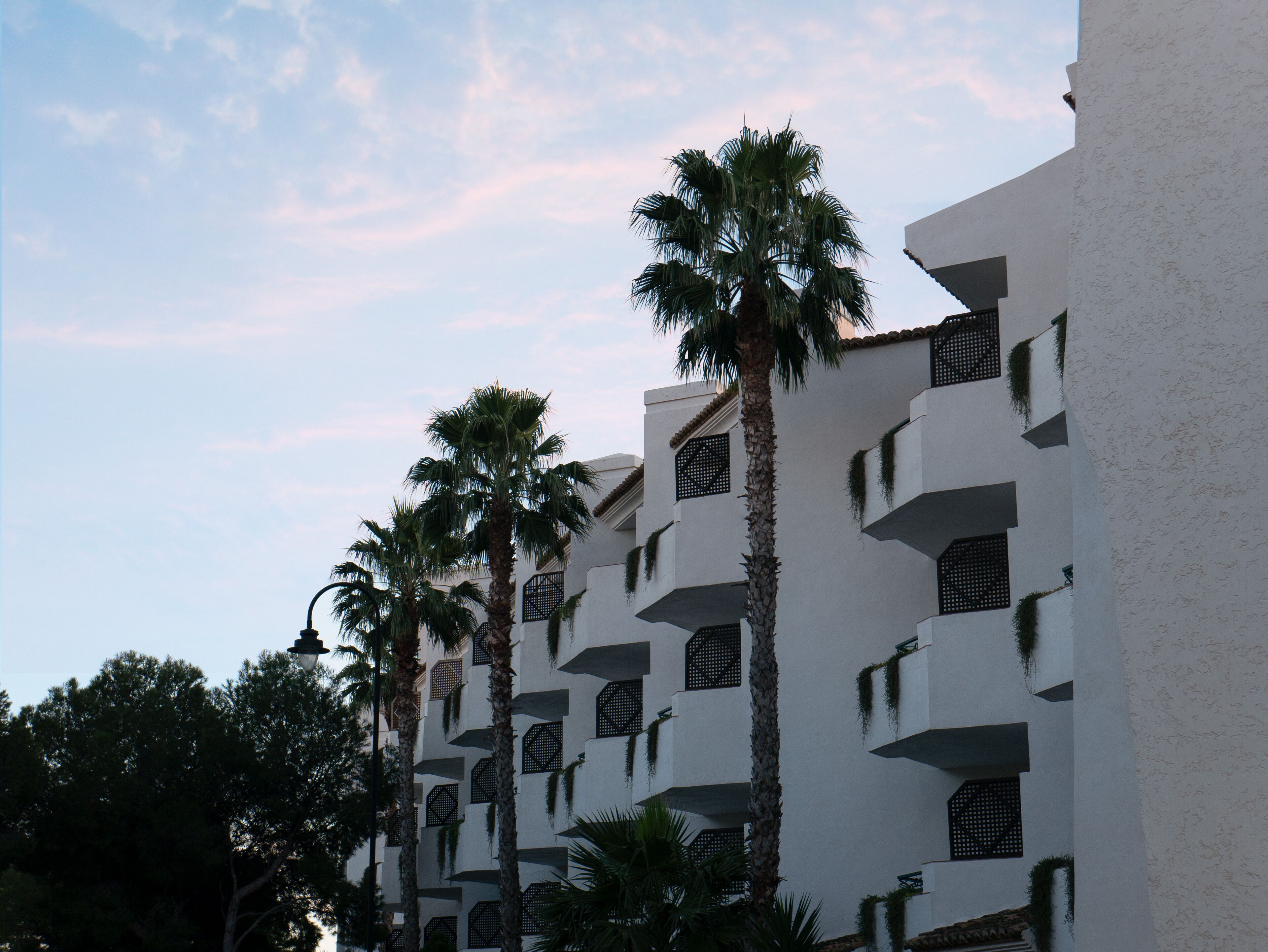 A multi-story building with balconies and palm trees.