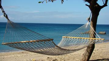 A hammock tied to a tree on a sandy beach with the ocean in the background.